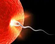 como-a-idade-pode-influenciar-na-fertilidade (17)