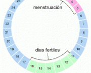 Fertilidade Feminina (14)