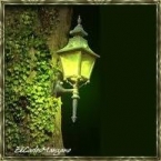 foto-lanterna-antiga-em-decoracao-de-casamento-11