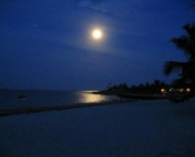 foto-noite-de-nupcias-na-praia15