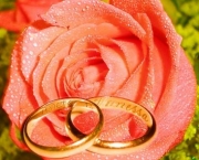 aliancas-de-casamento-com-rosas-7