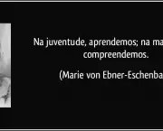 frase-na-juventude-aprendemos-na-maturidade-compreendemos-marie-von-ebner-eschenbach-146779