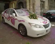 Carros para Noiva (13)