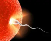causas-da-infertilidade-masculina (5)