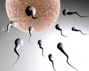 causas-da-infertilidade-masculina (6)