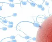 causas-da-infertilidade-masculina (7)