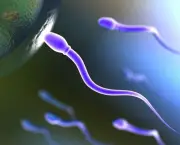 causas-da-infertilidade-masculina (15)