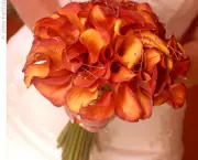Flores cor Laranja (3)