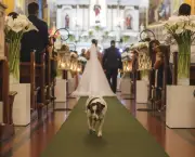 Missa de Casamento Católico - Folheto (3)