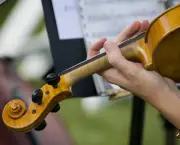 Músicas Tocadas no Violino para Entrada da Noiva (4)